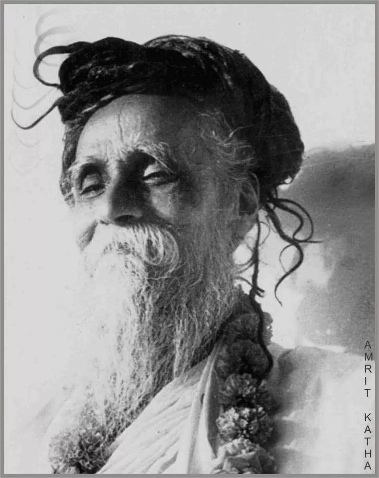 योगी स्वामी सीतारामदास महाराज